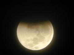 Mon vor der Totalit&auml;t